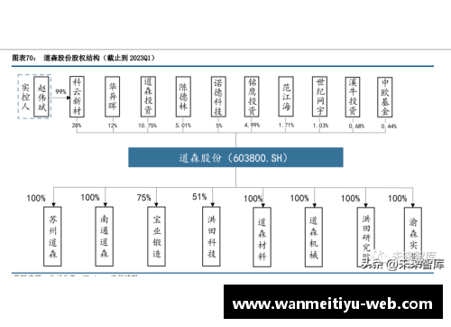 完美体育复合集流体行业专题报告：进入加速落地阶段，设备最受益